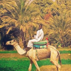 Magdi Nabil - camel - oriental chill house