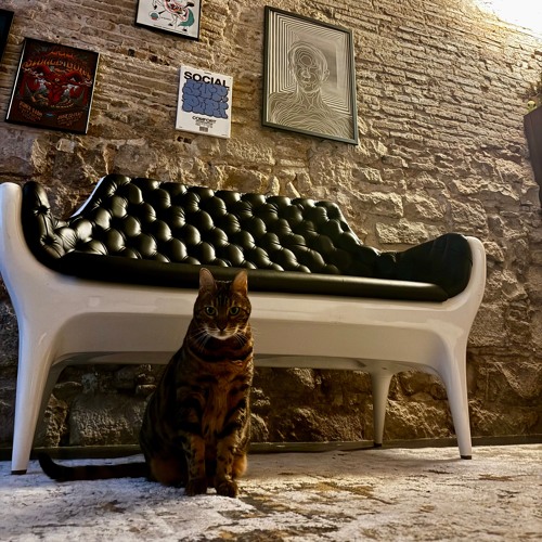 BASS WARP - SET AT CITY HALL