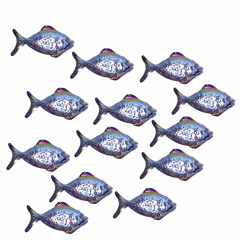 DISCOFISH - Missing You ( House MixPreview )