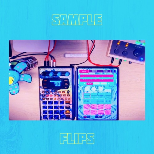 Sample Flips