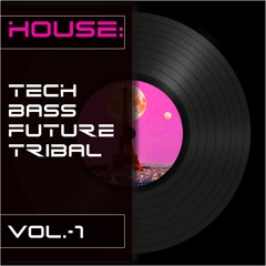 Electronic House - 0001