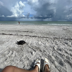 On a Beach [sunset session] V4.mp3