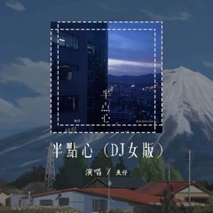 鱼仔 - 半点心 (DJ女版)「相爱少点也罢 我却更了解是」【動態歌詞/pīn yīn gē cí】#鱼仔 #半点心 #動態歌詞