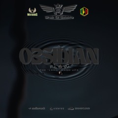 Caution Please (Salt Gyal Mash Up) - Shak Di Selekta