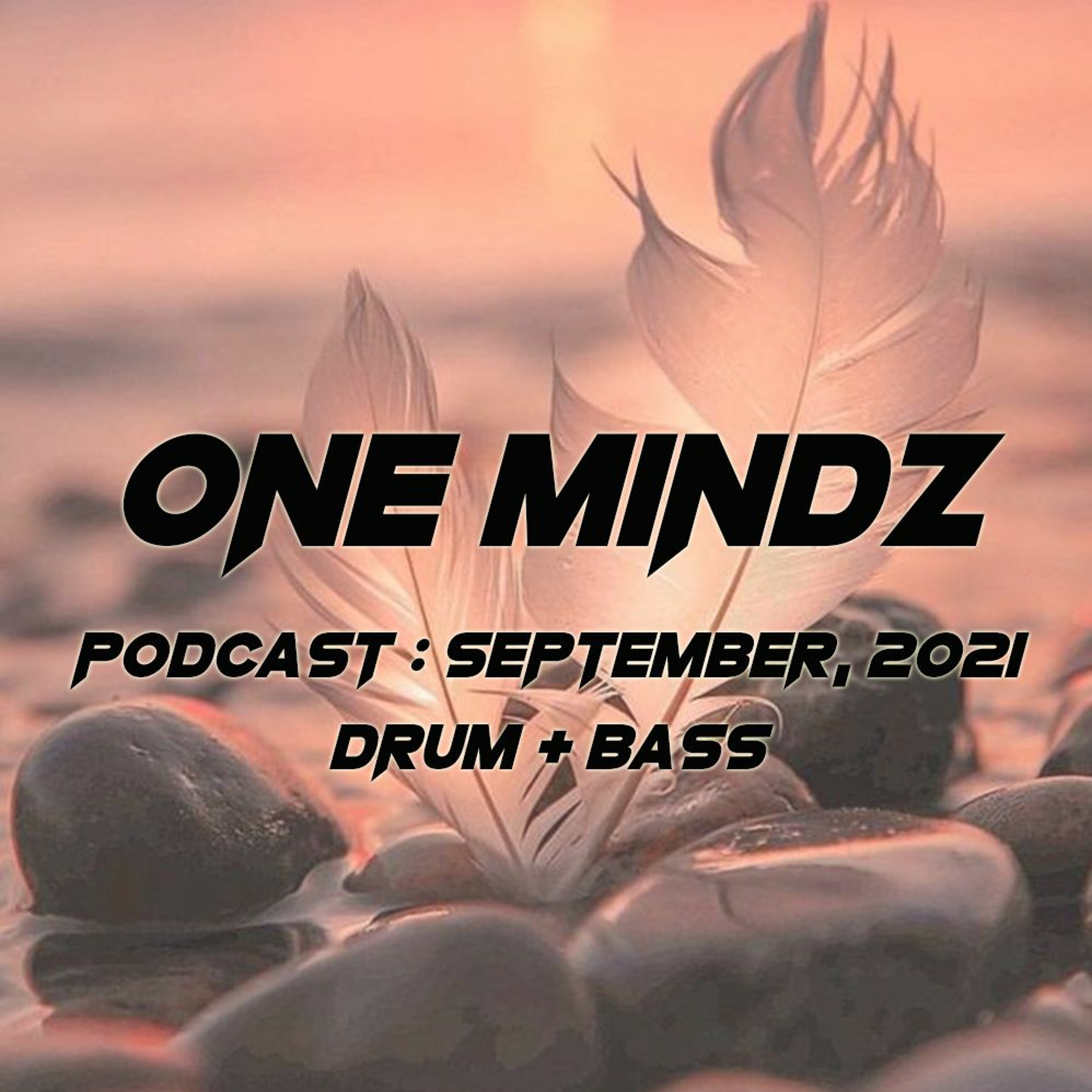 One Mindz Podcast (Drum & Bass)