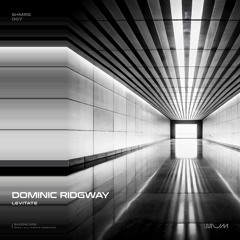 Dominic Ridgway - Levitate