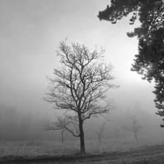 YARNcast 132 - Jarzz