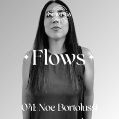 Flows 041: Noe Bortolussi