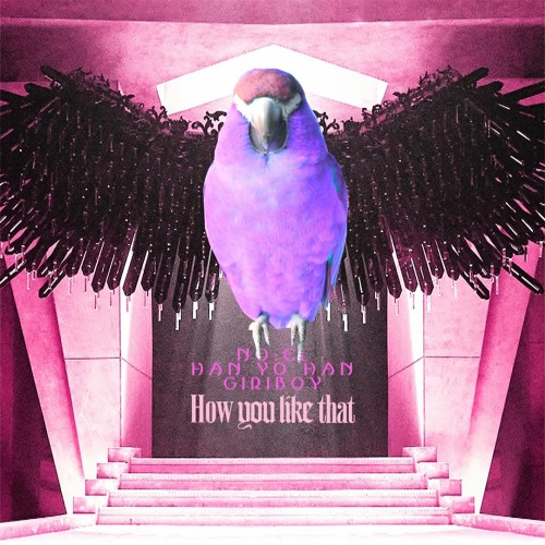 노엘, 한요한, 기리보이 - How You Like 앵무새