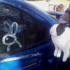 crzy prod mbrk #alkaline9 #a9