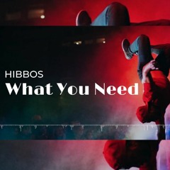 What You Need