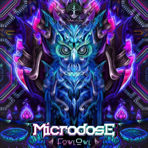 FowlOwl - Microdose EP Preview (Minimix)