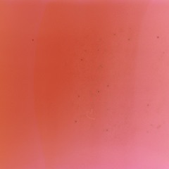 trippin (alt version) [slowed]