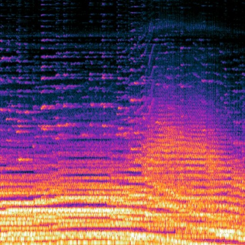 interpretations unquantized