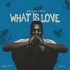 下载视频: Haddaway - What Is Love (Pellis Edit)