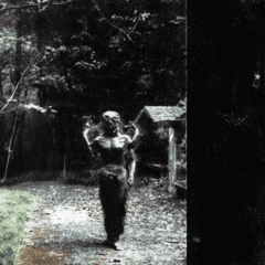 TEREPHTHALIC NOISE - BLAUPUNK