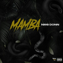 NMS Donn - Mamba