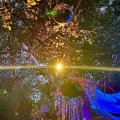 Adrian Schneider - LIVE SET 2024