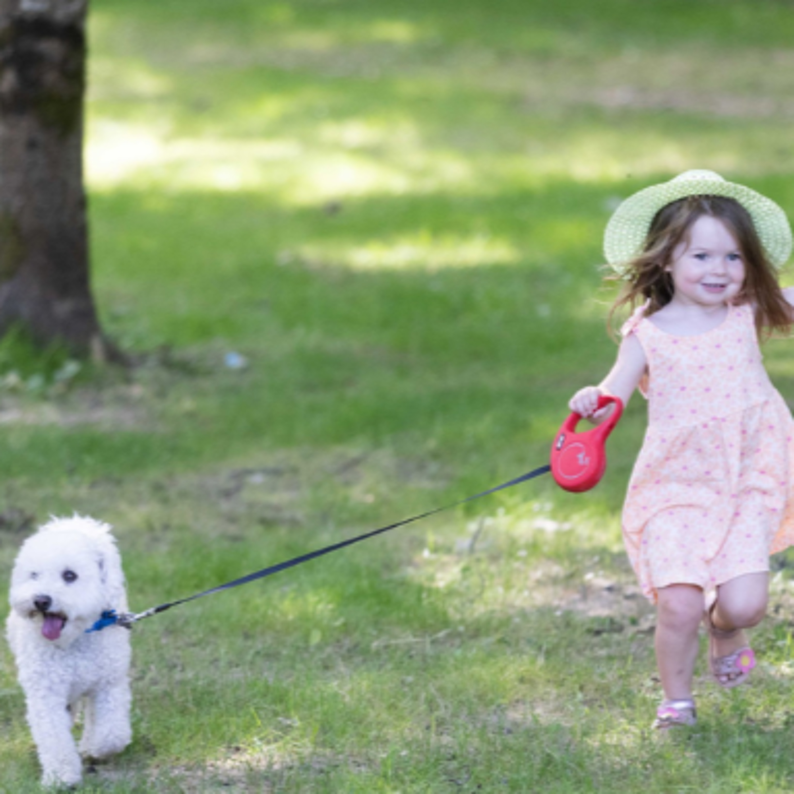 First Ever Clare Public Dog Park Opening episode artwork