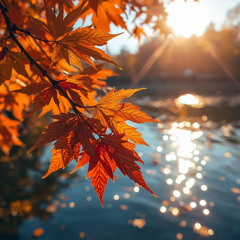 The Lake