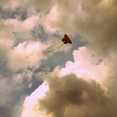Luisa Marion - The Kite