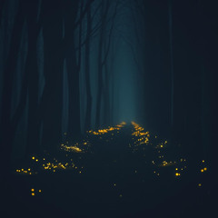 Between the Edge and the Echo