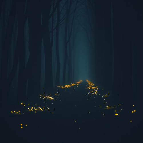 Between the Edge and the Echo