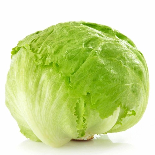 Ice Berg Lettuce