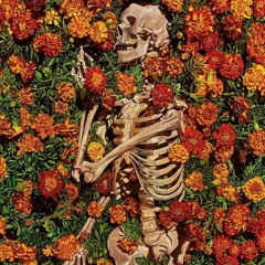 Dry Bones and Flowers - TPC 339 3rd Place