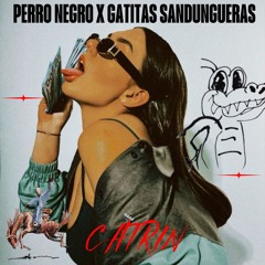 CATRIN- Perro Negro X Gatitas Sandungueras