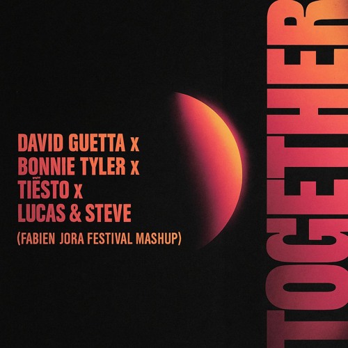 David Guetta x Bonnie Tyler x Tiesto x Lucas & Steve - Together Zenless (Fabien Jora Mashup)