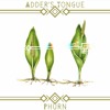 Descargar video: Adder’s Tongue