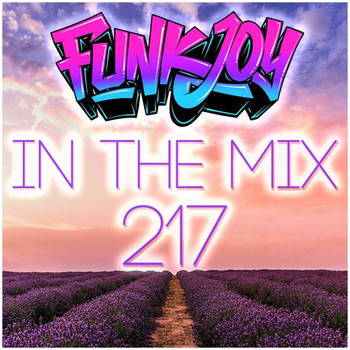 funkjoy - In The Mix 217