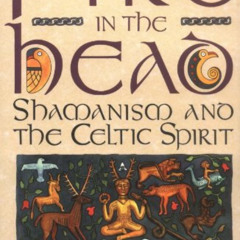 GET EPUB ✅ Fire in the Head: Shamanism and the Celtic Spirit by  Tom Cowan EPUB KINDL