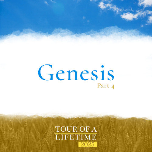 Transformed and Built Up