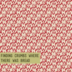 Honeyboy & Fjord F-150 - Finding Crumbs Where There Was Bread - SWMP012