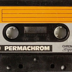 Backroom Dub ( uncut )