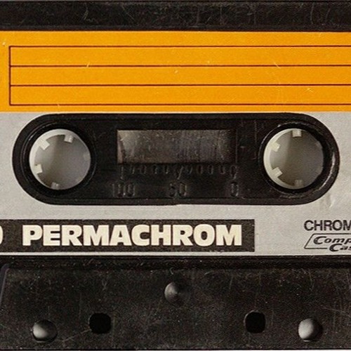 Backroom Dub ( uncut )