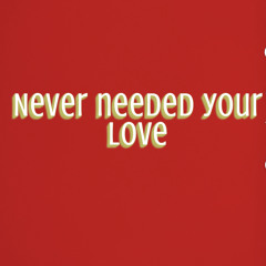 Never needed your love
