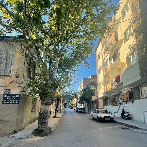 On The Türkocağı Cd