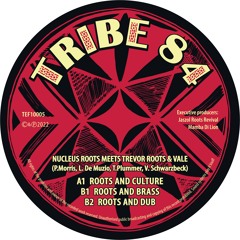 Nucleus Roots Meets Trevor Roots - Roots And Culture