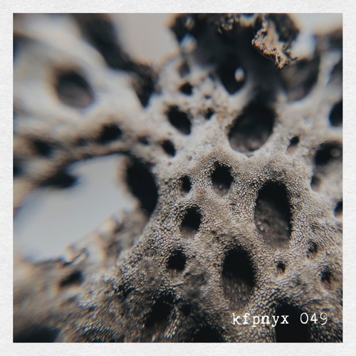 kfpnyx 049 by lazarus