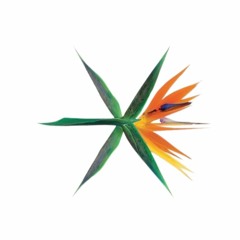 EXO 엑소 'Ko Ko Bop' (Official Instrumental)