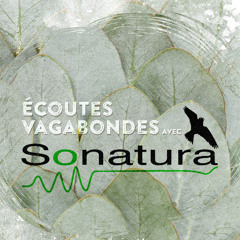 Ecoutes Vagabondes avec Sonatura