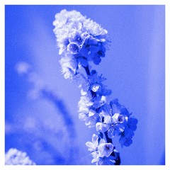 Spring In A Small Town - Memoria