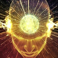 The mind 2023 - 08 - 24