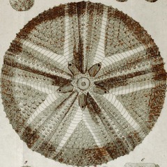 hk_fantaisies_tracks_404