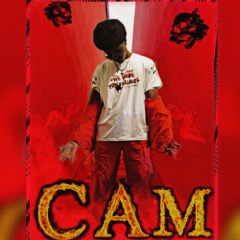 AntiCam_The Glitch-Nuked