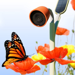 Pioneering BirdBuddy continues to innovate