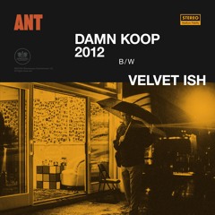 Ant - Velvet Ish